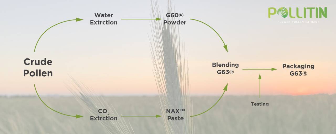 Pollitin Production process steps