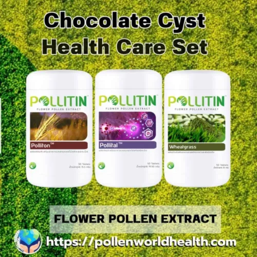 Chocolate Cyst Health Care Set