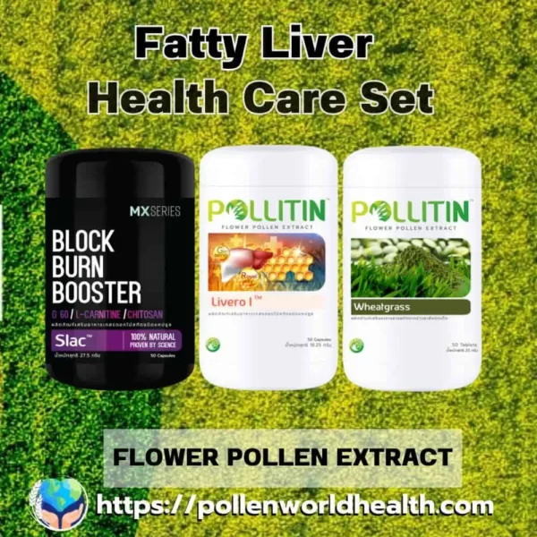 Fatty Liver Health Care Set